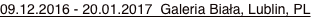 shapeimage_1_link_2